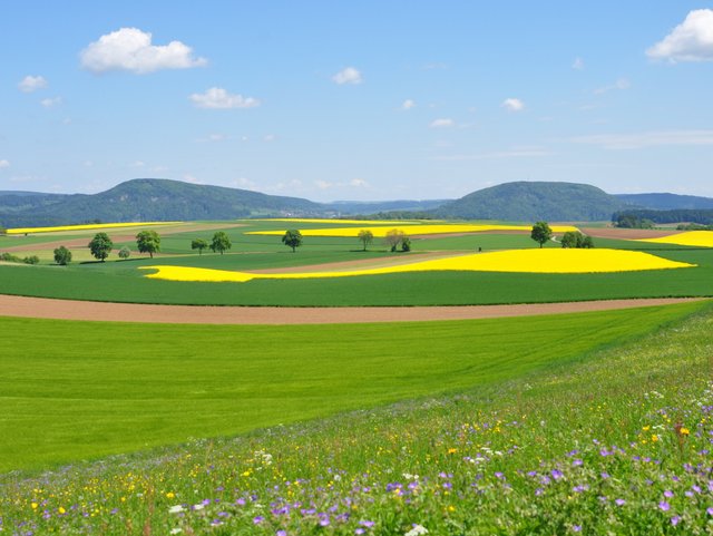 Landschaft Wutach